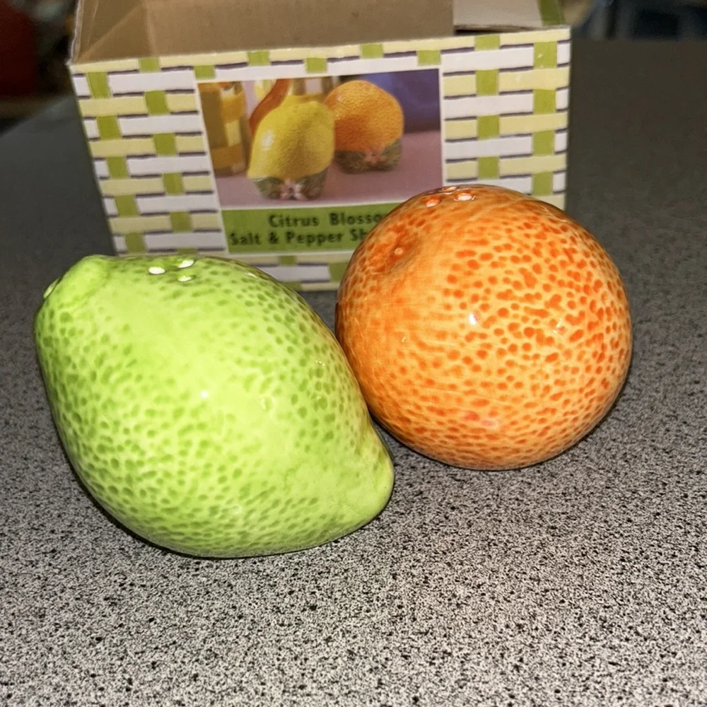NWT Citrus Salt and Pepper Shakers set